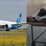 IndiGo Flight की Jabalpur में Emergency Landing, यात्री की मौत