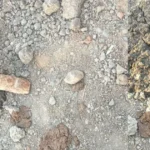 मझौली के घिरी गांव में मिला Live Bomb, खुदाई के दौरान मची सनसनी