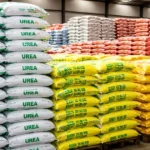 Kharif Season में किसानों को राहत, 30 हजार MT खाद उपलब्ध