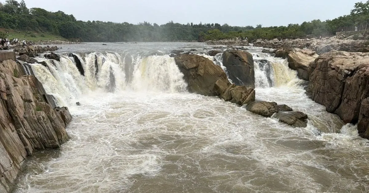 धुआंधार में बढ़ा नर्मदा का जलस्तर, लबालब हुआ जलप्रपात क्षेत्र