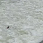 जबलपुर: बिलटुकरी डेम में नहाते समय मजदूर डूबा, मौत