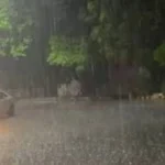 जबलपुर में बदला मौसम, गरज-चमक के साथ बारिश; 28°C तापमान