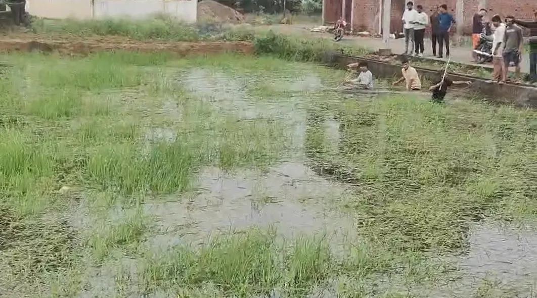 7 दिन बाद रहवासी इलाके से मगरमच्छ का रेस्क्यू