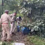पनागर जंगल में अवैध शराब की भट्ठियों पर छापा, 600 लीटर लाहन नष्ट
