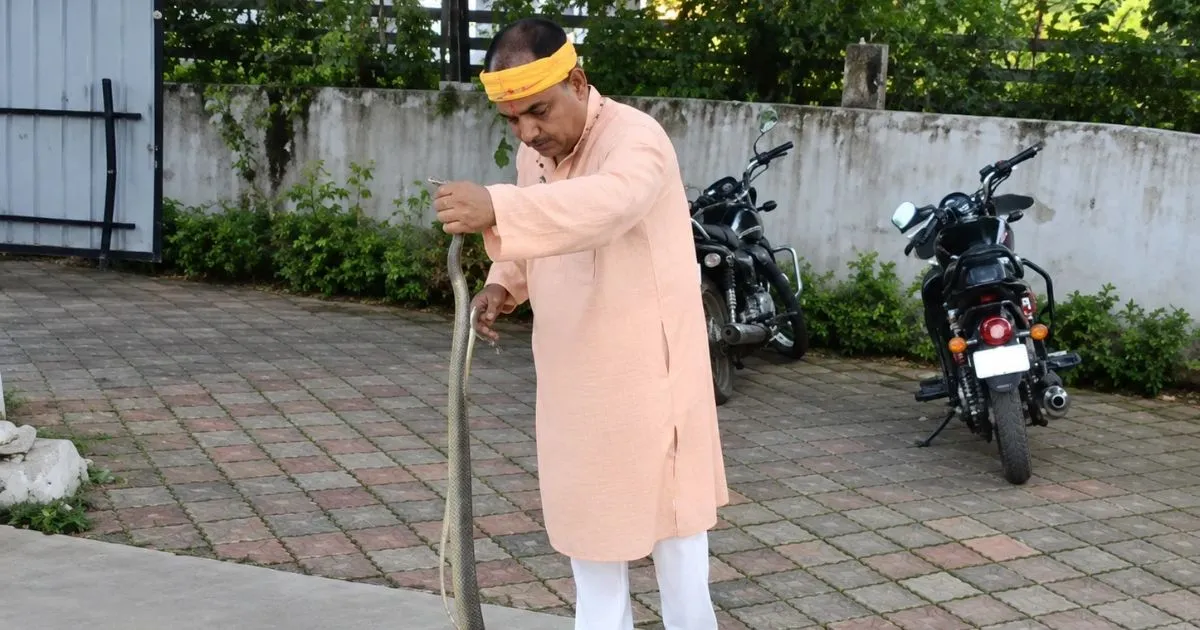 Septeमदन महल थाना परिसर में मिला 5 फीट लंबा कोबरा, रेस्क्यूmber80-ezgif.com-optiwebp