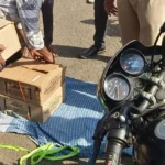बरगी नगर में शराब की तीन पेटियां ग्रामीणों ने पकड़ीं, पुलिस को सौंपा